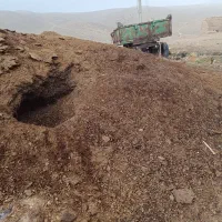 کود گوسفندی ۵۰تن