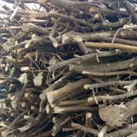 فروش چوب مرکبات جنوب|خدمات باغبانی و درختکاری|حور, |دیوار