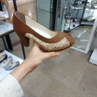 کفش مجلسی