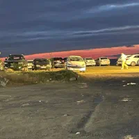 استخدام نیرو