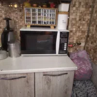 مایکرویو پاناسونیک