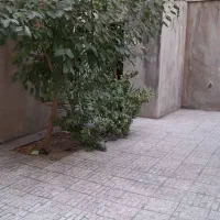 اجاره یک خانه دربستی