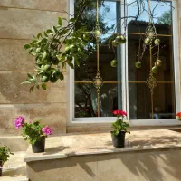 فروش باغ ویلای 600 متری در لفور شیرگاه|فروش خانه و ویلا|شیرگاه, |دیوار