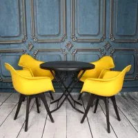 صندلی فانتزی پلاستیکی فایبر