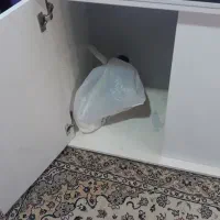 اکواریوم ۱۲۰ ماهیران|ماهی|کرج, باغستان|دیوار