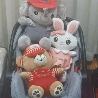 کریر مارک اکسس نو باکاور