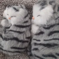 عروسک گربه و اسموشی نو|اسباب‌بازی بچه|قزوین, |دیوار