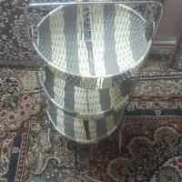 جاسیب زمینی