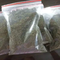 سبزی قورمه سبزی