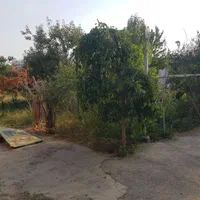 باغ ویلا مسکونی با تمامی امکانات معاوضه با گلبهار|فروش خانه و ویلا|مشهد, نوچاه|دیوار