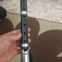 ساز خوش خوان و تمیز چوب کنار