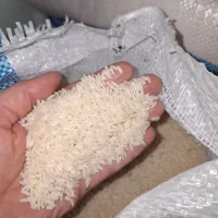فروش برنج صدری درجه یک درود