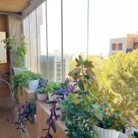 شیشه ای تاشو بالکنی|مصالح و تجهیزات ساختمان|ایلام, |دیوار