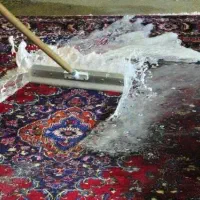 استخدام کارگر شور قالیشویی