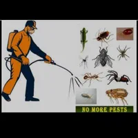 سم پاشی ساس سوسک شبانه روزی حتی روزهای تعطیل|خدمات نظافت|ملارد, |دیوار