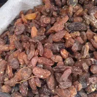 کشمش کاشمر