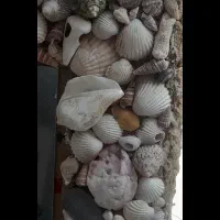 آینه تزیینی کار دست صدف کاری.قاب عکس چوبی قدیمی|صنایع دستی و سایر لوازم تزئینی|تهران, آسمان|دیوار