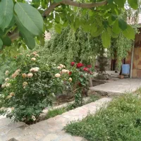 فروش فوری باغچه در اخلمد|فروش خانه و ویلا|مشهد, زمرد|دیوار