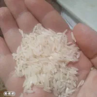 برنج طارم روشن