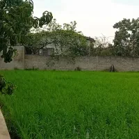 ۱۷۲ متر زمین شهرک ،اقساطی|فروش زمین و ملک کلنگی|آستانه سرا, |دیوار