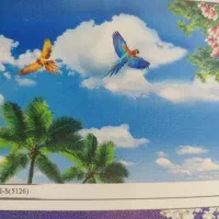 کارگر جوان برای کناف کاری|استخدام معماری، عمران و ساختمانی|خمام, |دیوار