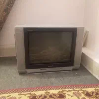 تلویزیون