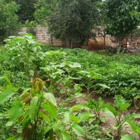 زمین مسکونی ۳۴۰مترروستای احمدآباد|فروش زمین و ملک کلنگی|مشگین شهر, |دیوار