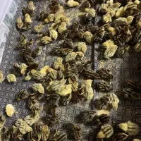 فروش جوجه بلدرچین|حیوانات مزرعه|گرگان, |دیوار