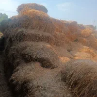 کاه گندم پرس