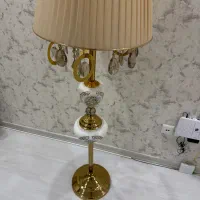 آباژور کنارسالنی