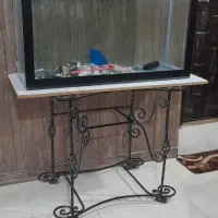 اکواریوم بزرگ با میز اهنی فرفوژه