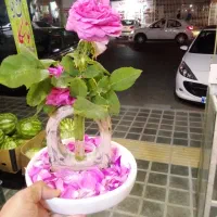 فروشنده گلفروشی