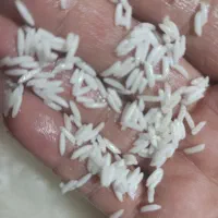 برنج مازندران