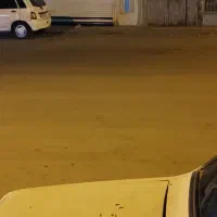 مغازه-فروشی