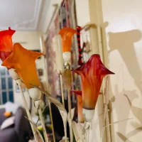 چراغ خواب کیریستالی|چراغ خواب و آباژور|تهران, جیحون|دیوار