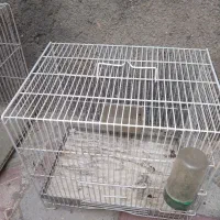 قفس پرنده