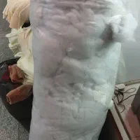 خورده پشم شیشه
