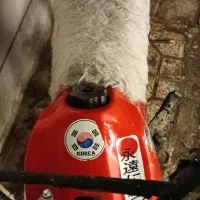 مینی جترو ۹۰|موتورسیکلت|تهران, وصفنارد|دیوار