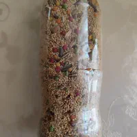 عروس هلندی|پرنده|تهران, بنی‌هاشم|دیوار