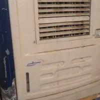 کلرابی کوچک