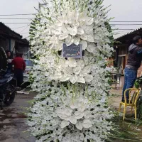 پخش تاج های تبریک تسلیت افتتاحیه ارسال رایگان|گل و گیاه طبیعی|ری, بازار گل خاوران|دیوار