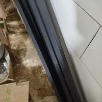شاخه رگال