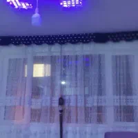 پرده