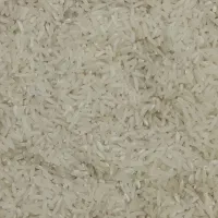 فروش عمده برنج