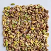 خریدار مغز پسته روابی  نقدی