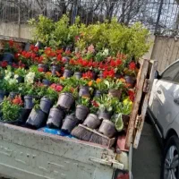 خدمات باغبانی گل کاری خاک گلدان هرس کود دهی