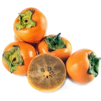 فروش نهال خرمالوانواع نژادها ضمانت رشد