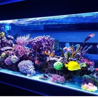 آکواریوم بزرگ