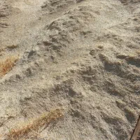 کاه‌گندم‌دیم|لوازم جانبی حیوانات|گل تپه, |دیوار