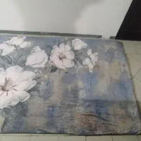 بخوانید مخمل شانل